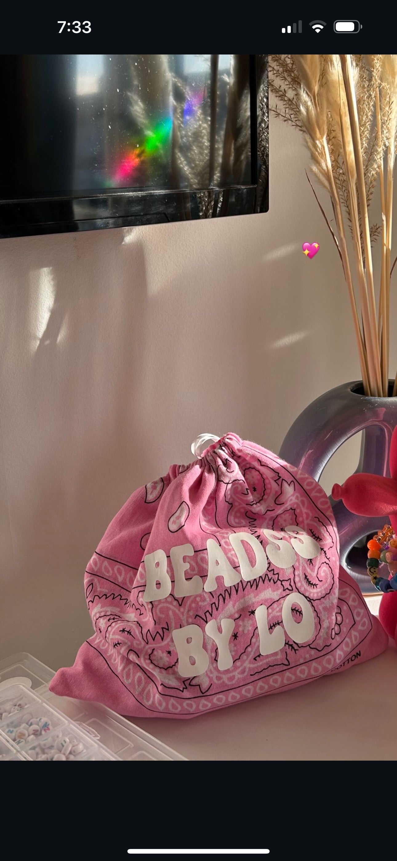 Bandana Drawstring Pouch