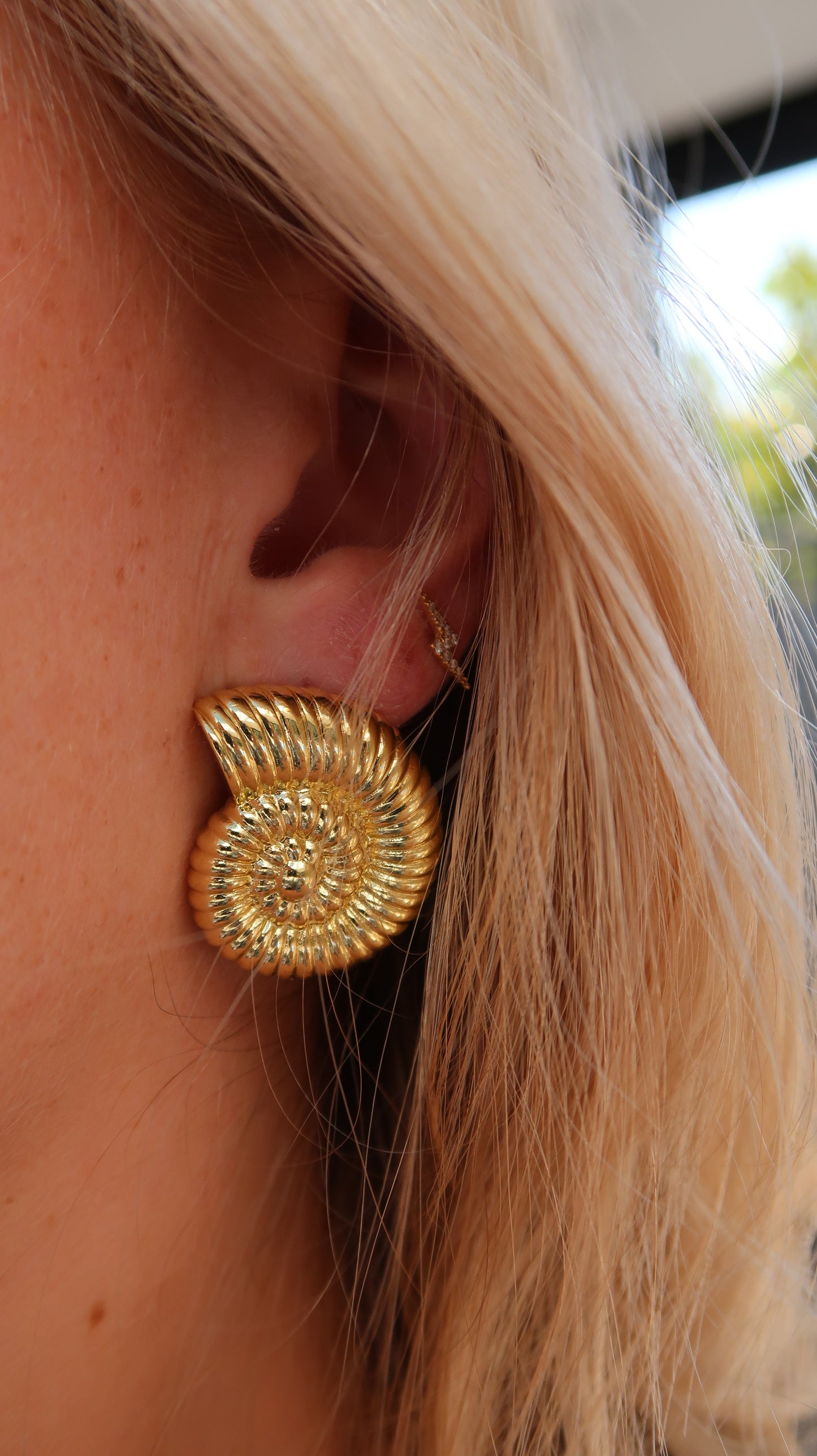 Statement Sundial Shell Stud Earrings