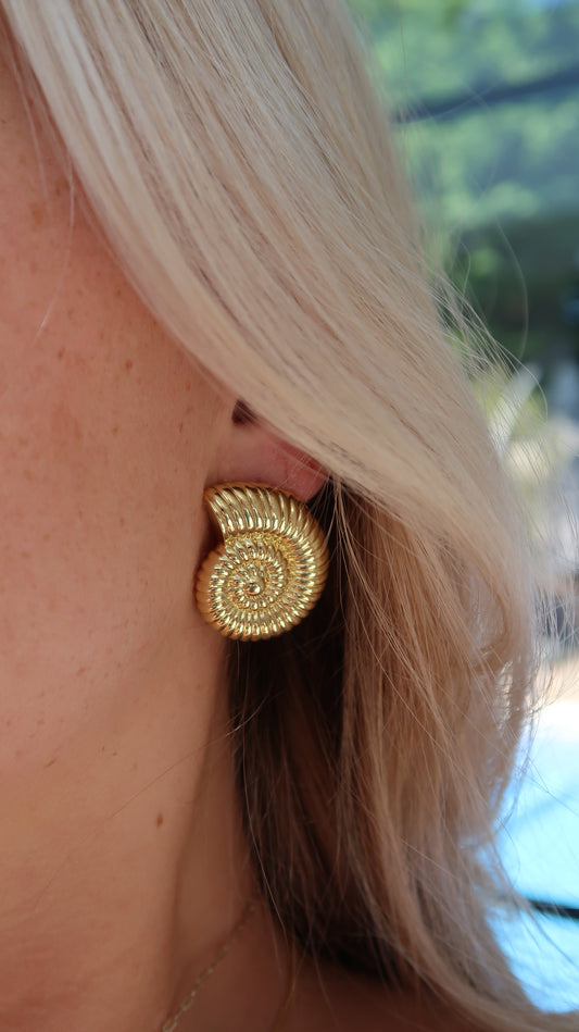 Statement Sundial Shell Stud Earrings