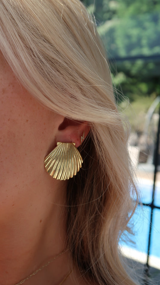 Statement Scallop Shell Stud Earrings