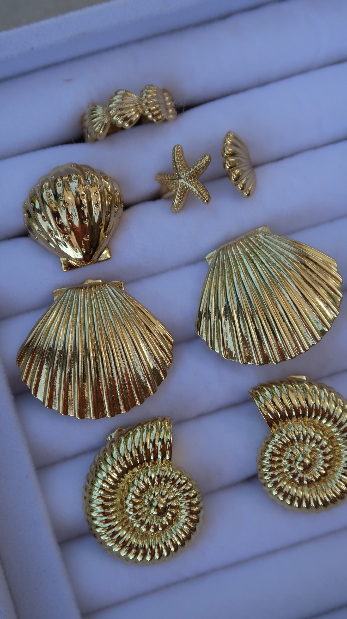 Statement Scallop Shell Stud Earrings