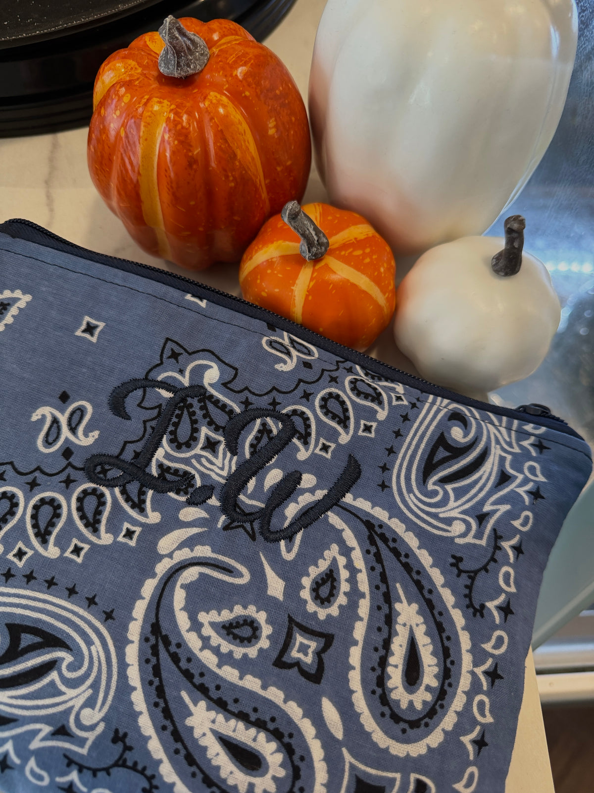 Bandana Flat Pouch