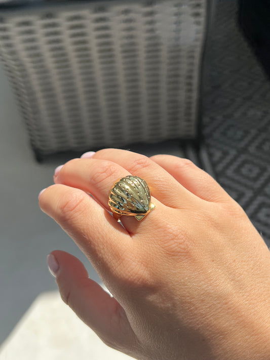 Statement Shell Ring
