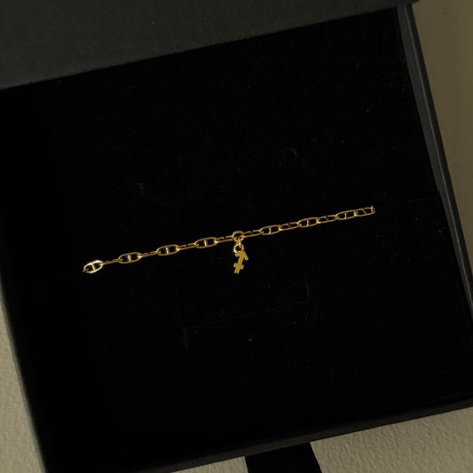 Gold Vermeil Zodiac Charm with Gold Filled Chain Bracelet