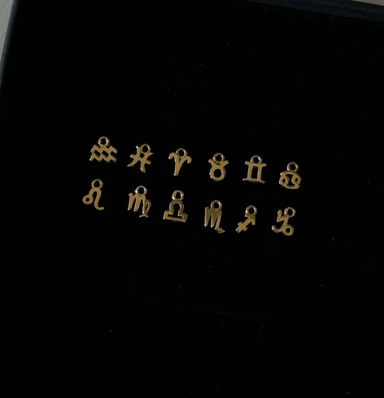 Gold Vermeil Zodiac Charm with Gold Filled Chain Necklace